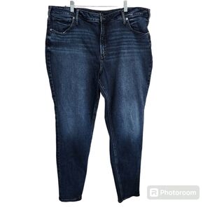 Silver Jeans 'Avery Skinny' Plus Size Womens, sz 24
